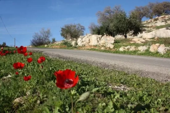 مدار الساعة,أخبار الأردن,اخبار الاردن,درجات الحرارة العظمى والصغرى,درجات الحرارة,البحر الميت