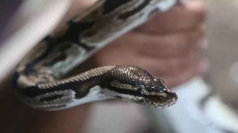 مدار الساعة,أخبار خفيفة ومنوعة