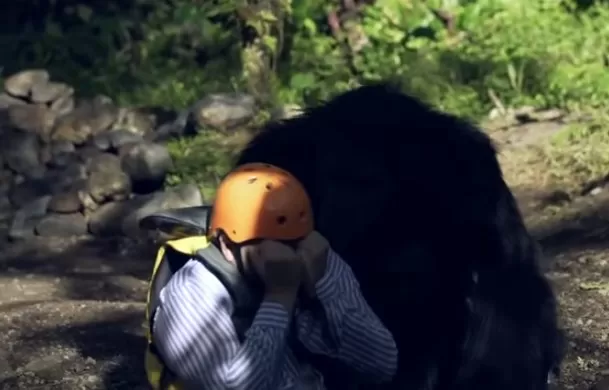 مدار الساعة,Video,فيديو,أخبار ثقافية