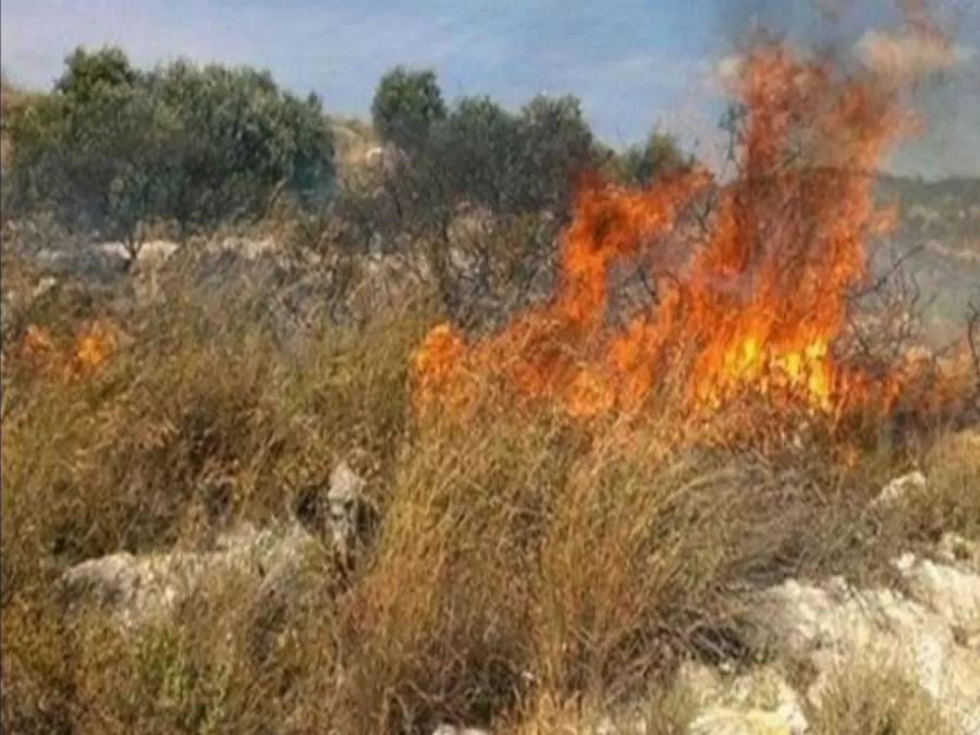 مدار الساعة,أخبار الأردن,اخبار الاردن