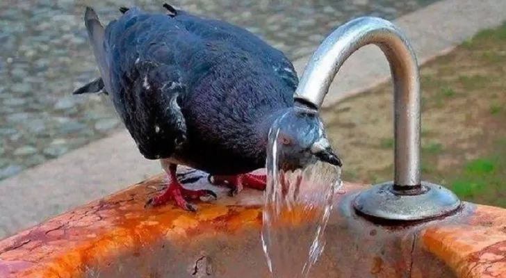 مدار الساعة,الطقس في الأردن اليوم,طقس الأردن,طقس العرب,طقس العرب الاردن,درجات الحرارة,البحر الميت