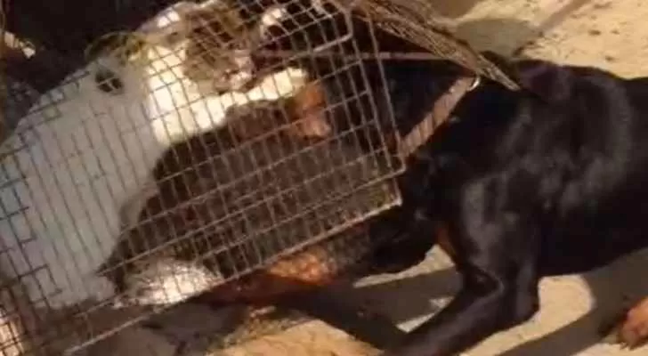 مدار الساعة,أخبار خفيفة ومنوعة,مواقع التواصل الاجتماعي