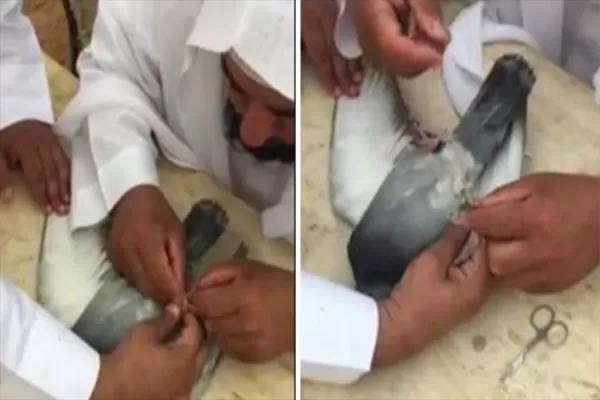 مدار الساعة,Video,فيديو,أخبار خفيفة ومنوعة