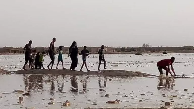 مدار الساعة,أخبار خفيفة ومنوعة,وزارة الداخلية