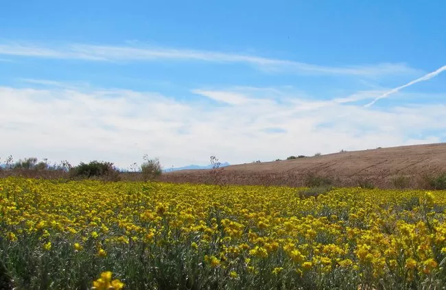 مدار الساعة,الطقس في الأردن اليوم,طقس الأردن,طقس العرب,طقس العرب الاردن,درجات الحرارة العظمى والصغرى,درجات الحرارة,الأرصاد الجوية,البحر الميت