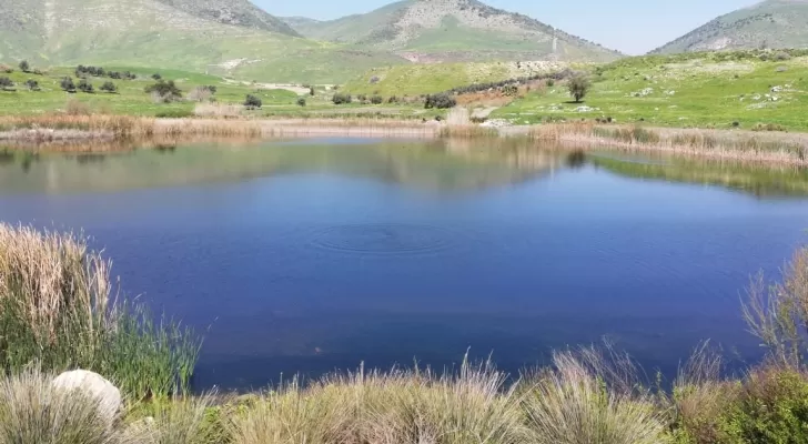مدار الساعة,أخبار خفيفة ومنوعة,المملكة الأردنية الهاشمية