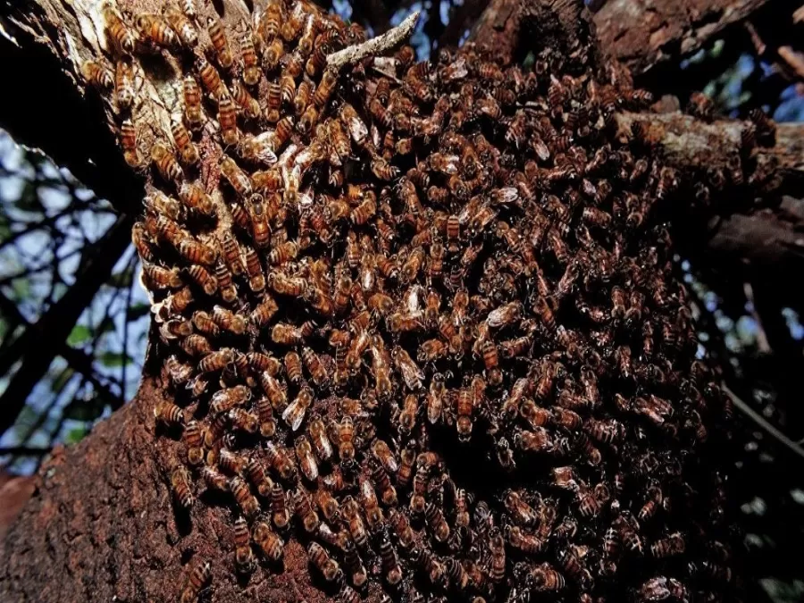 مدار الساعة,Video,فيديو,أخبار خفيفة ومنوعة