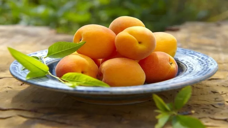 مدار الساعة,أخبار خفيفة ومنوعة