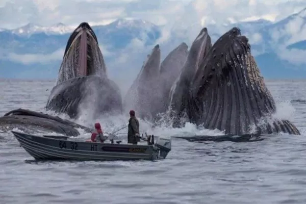 مدار الساعة,أخبار خفيفة ومنوعة