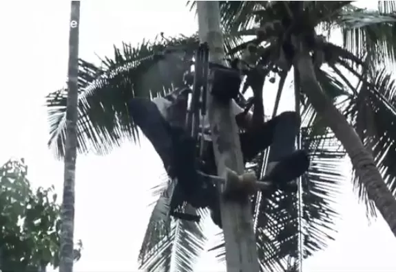 مدار الساعة,Video,فيديو,أخبار خفيفة ومنوعة