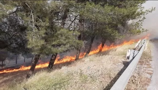 مدار الساعة,أخبار الأردن,اخبار الاردن,رئاسة الوزراء,الدفاع المدني