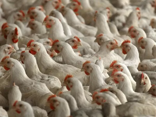 مدار الساعة,أخبار اقتصادية,وزارة الصناعة والتجارة,وزارة الصناعة