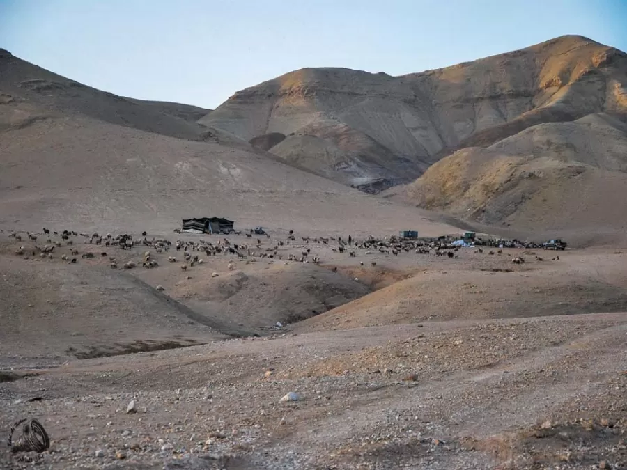 مدار الساعة,أخبار السياحة في الأردن,وكالة الأنباء الأردنية,وزارة البيئة,الجامعة الهاشمية,الأمم المتحدة