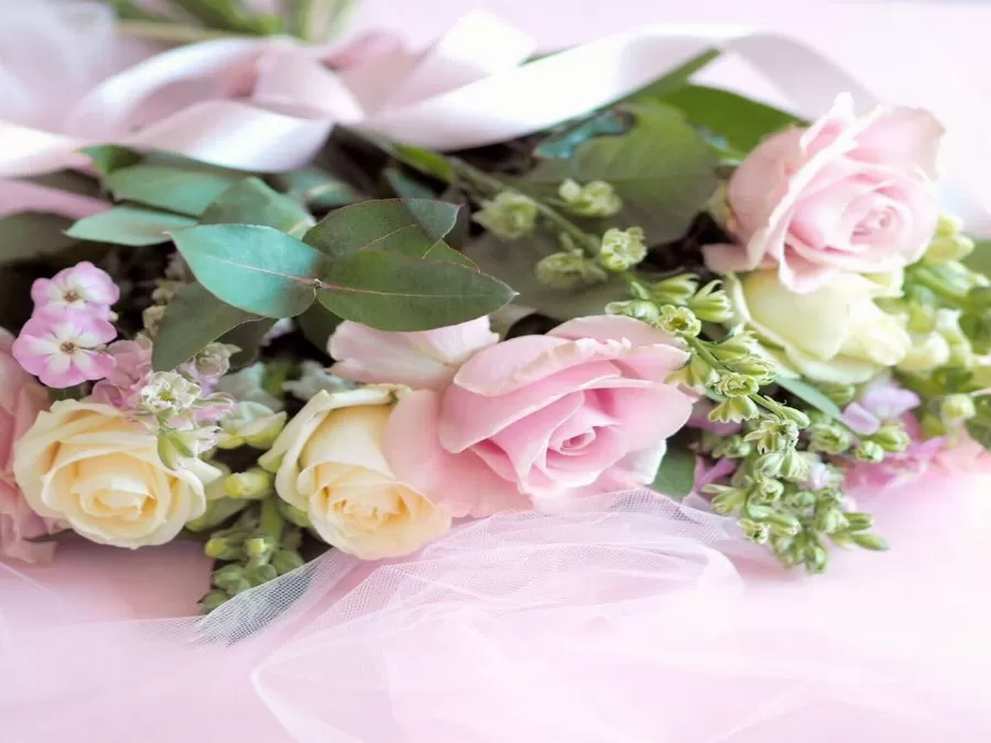 مدار الساعة,أخبار المجتمع الأردني,جامعة العلوم والتكنولوجيا