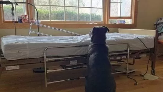 مدار الساعة,أخبار خفيفة ومنوعة