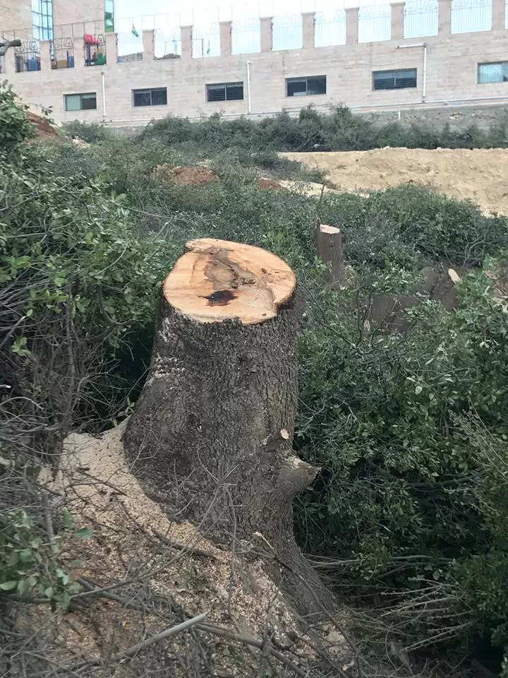 مدار الساعة,أخبار الأردن,اخبار الاردن,وزارة الزراعة