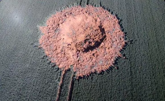 مدار الساعة,أخبار خفيفة ومنوعة