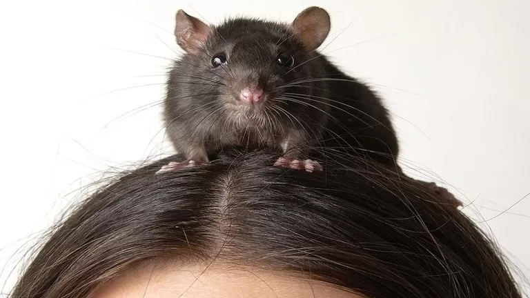 مدار الساعة,أخبار خفيفة ومنوعة