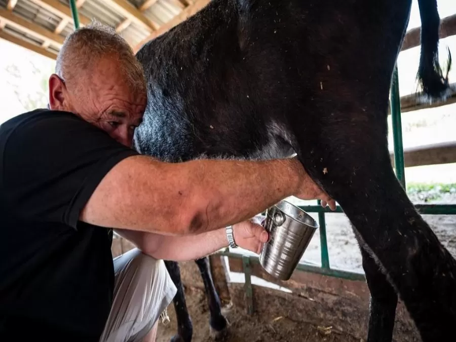 مدار الساعة,أخبار خفيفة ومنوعة,الأمم المتحدة