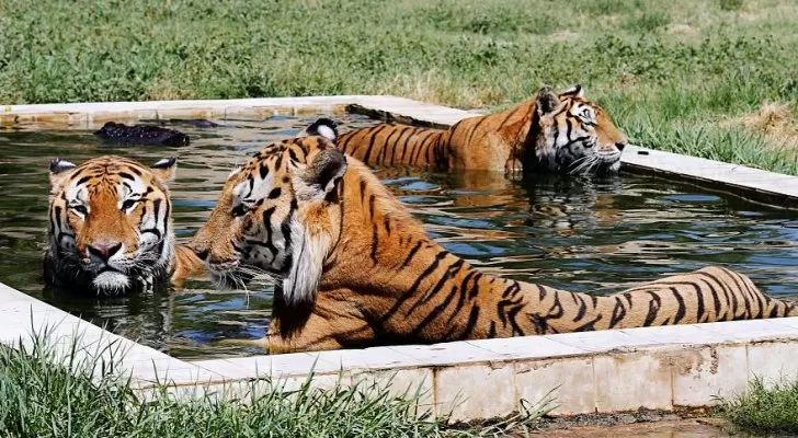 مدار الساعة,أخبار خفيفة ومنوعة,درجات الحرارة