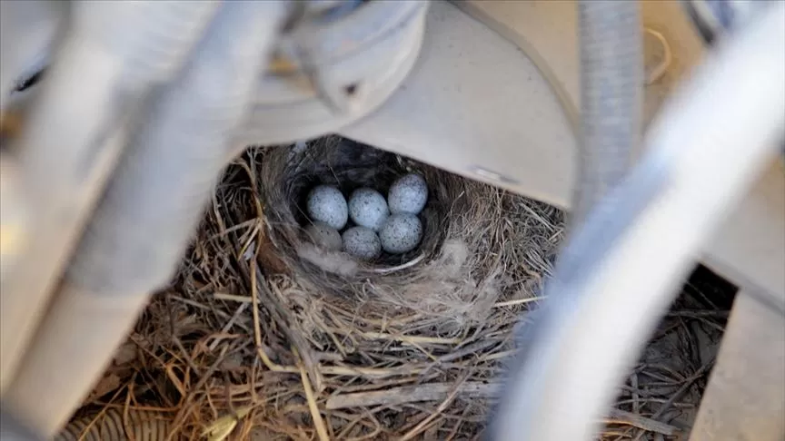 مدار الساعة,Video,فيديو,أخبار خفيفة ومنوعة