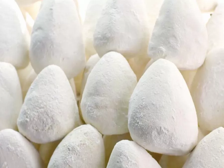 مدار الساعة,أخبار اقتصادية,وزارة الزراعة