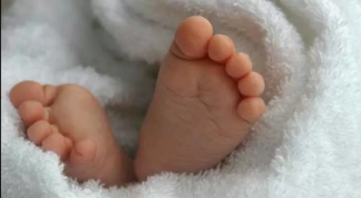 مدار الساعة,أخبار خفيفة ومنوعة,وزارة الداخلية,قطاع غزة,حركة حماس