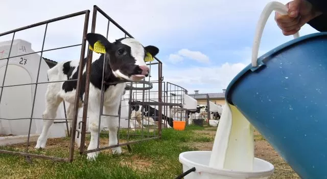 مدار الساعة,أخبار المجتمع الأردني