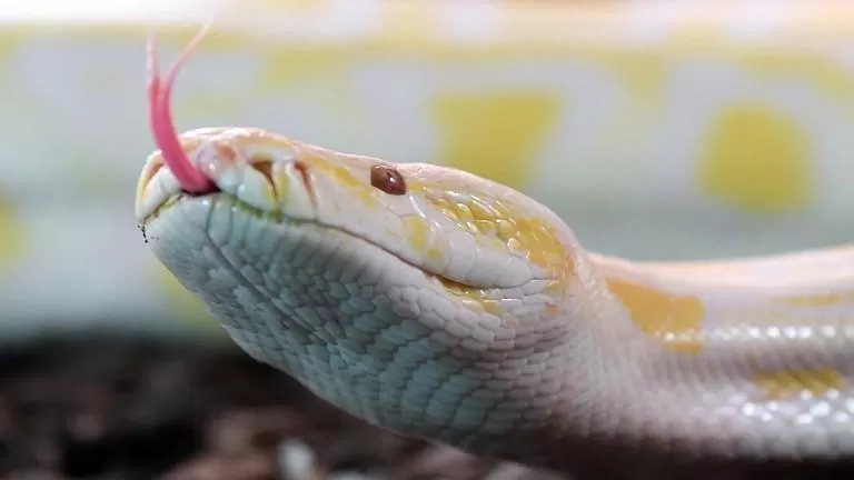 مدار الساعة,Video,فيديو,أخبار خفيفة ومنوعة