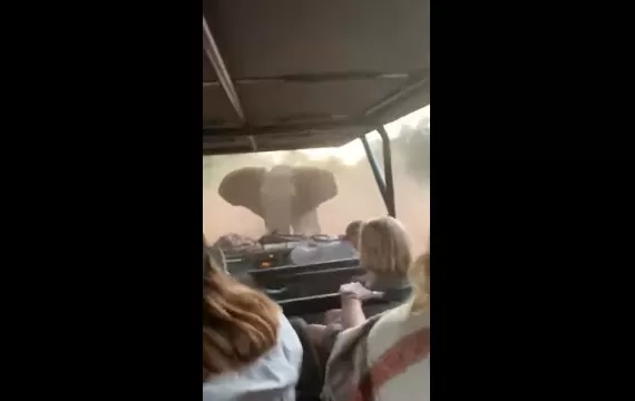 مدار الساعة,أخبار خفيفة ومنوعة