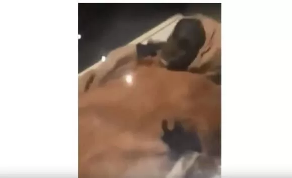 مدار الساعة,أخبار خفيفة ومنوعة,صحيفة الدستور,مواقع التواصل الاجتماعي