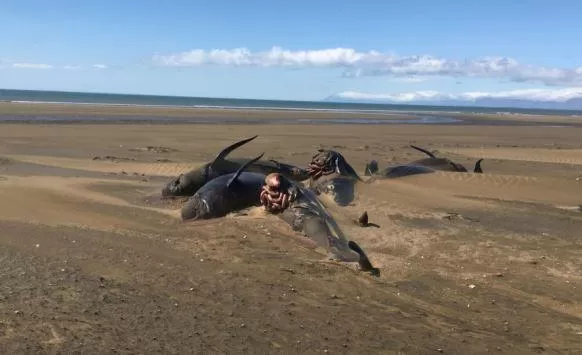 مدار الساعة,أخبار خفيفة ومنوعة