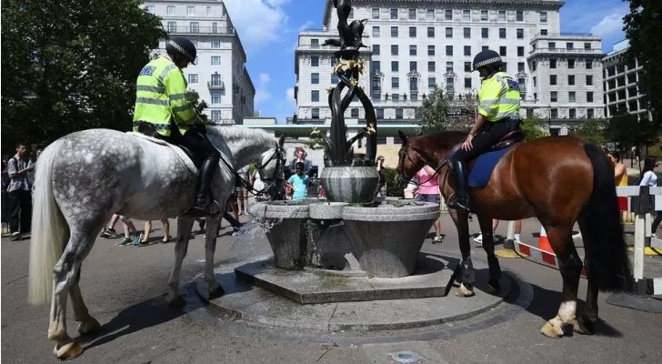 مدار الساعة,أخبار خفيفة ومنوعة,الأرصاد الجوية