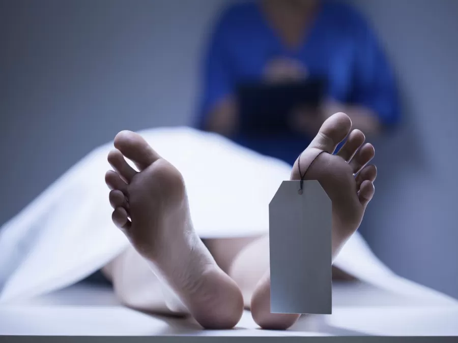 مدار الساعة,أخبار الأردن,اخبار الاردن,مستشفى الأميرة بسمة