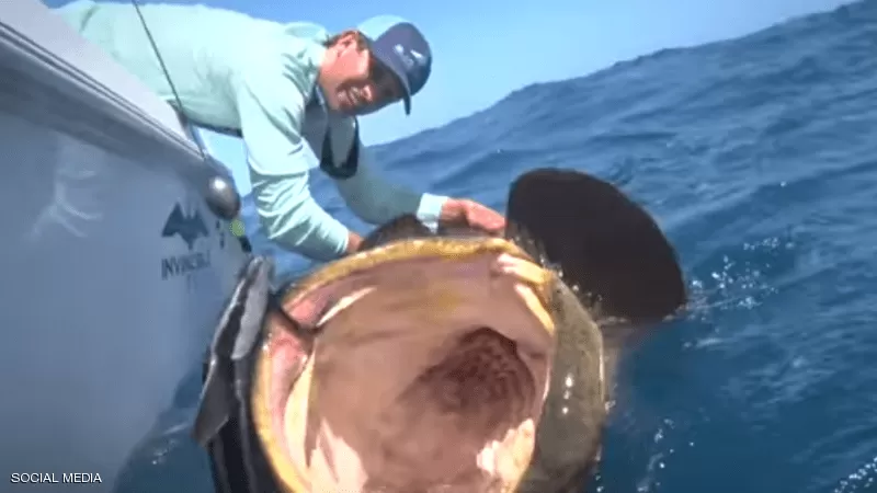 مدار الساعة,Video,فيديو,أخبار خفيفة ومنوعة