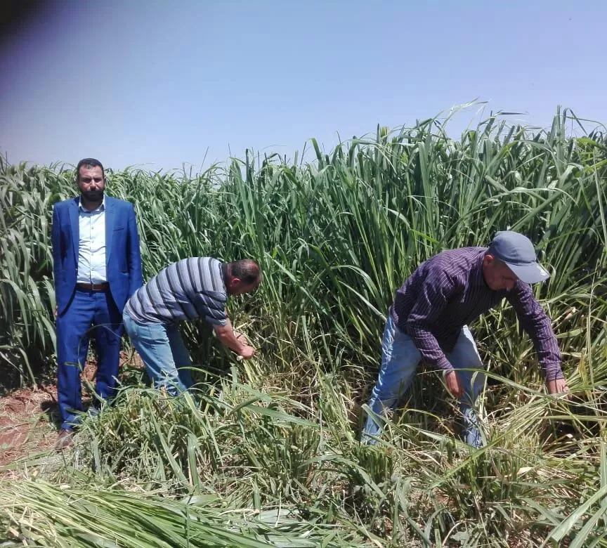 مدار الساعة,أخبار اقتصادية,المركز الوطني للبحوث الزراعية,التنمية المستدامة