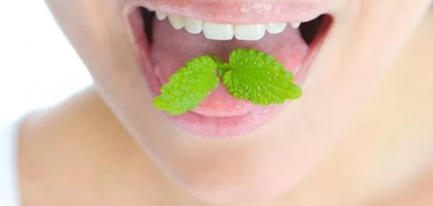 مدار الساعة,أخبار الأسرة