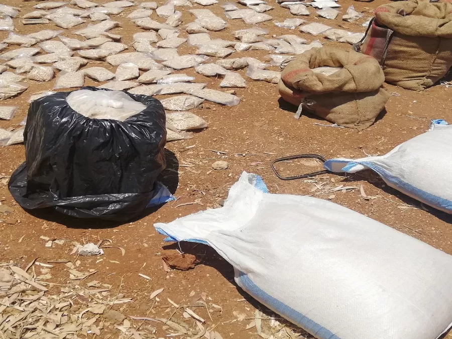 مدار الساعة,أخبار عربية ودولية,وزير الداخلية,إدارة مكافحة المخدرات