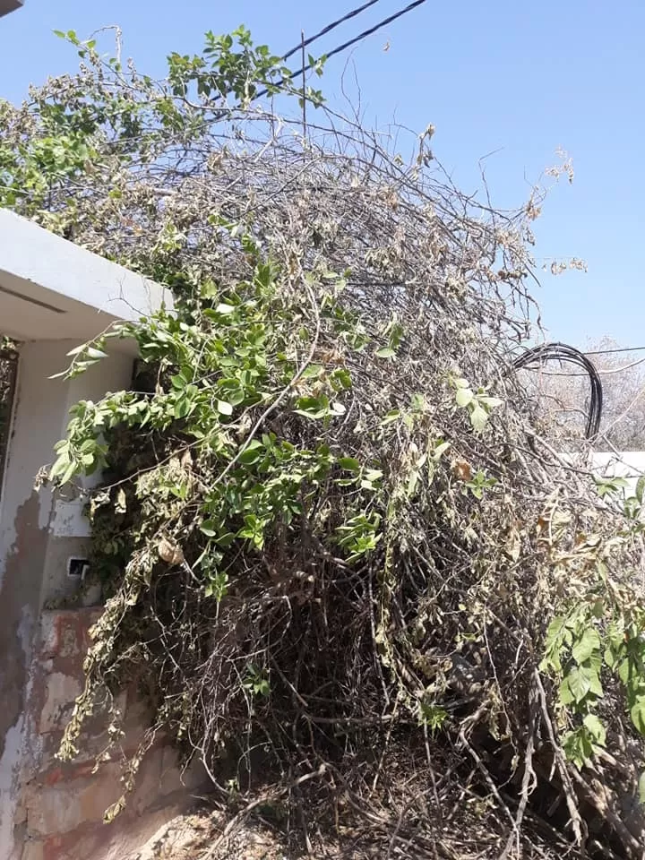 مدار الساعة,أخبار الأردن,اخبار الاردن,شركة الكهرباء الوطنية