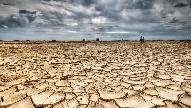 مدار الساعة,أخبار الأردن,اخبار الاردن,الإمارات العربية المتحدة,سلطنة عمان