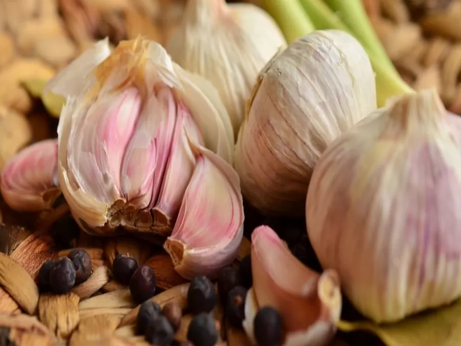 مدار الساعة,أخبار الأسرة