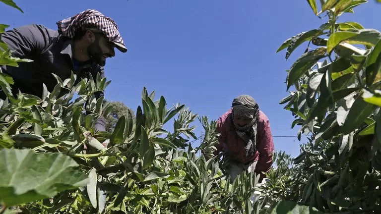 مدار الساعة,أخبار اقتصادية,وزير الزراعة