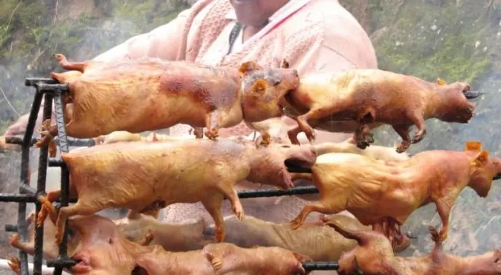 مدار الساعة,أخبار خفيفة ومنوعة