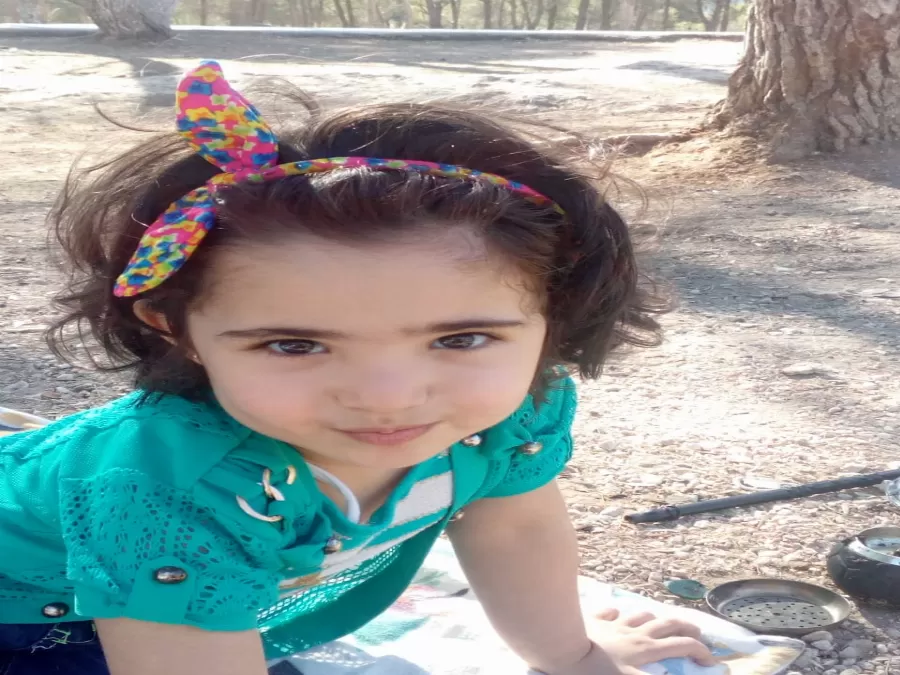 مدار الساعة,مقالات