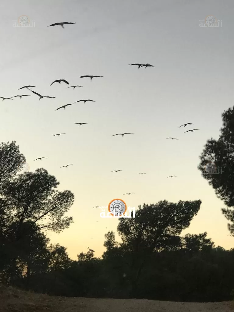 مدار الساعة,Video,فيديو,أسرار أردنية