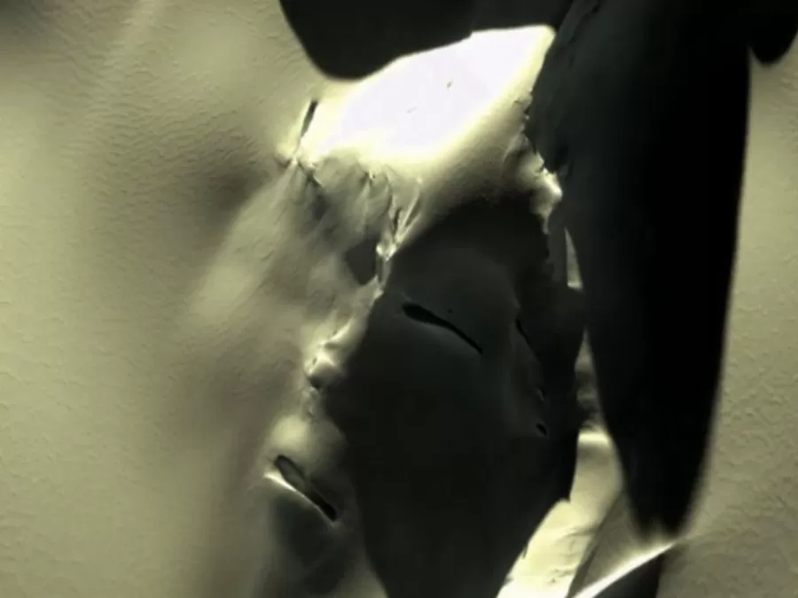 مدار الساعة,أخبار خفيفة ومنوعة,مواقع التواصل الاجتماعي