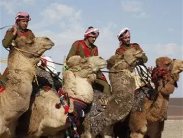 مدار الساعة,أخبار الأردن,اخبار الاردن