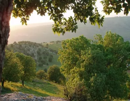 مدار الساعة,الطقس في الأردن اليوم,طقس الأردن,طقس العرب,طقس العرب الاردن,درجات الحرارة,الأرصاد الجوية