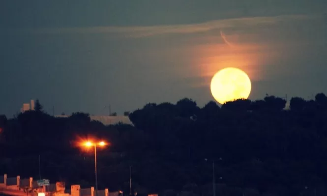مدار الساعة,أخبار الأردن,اخبار الاردن