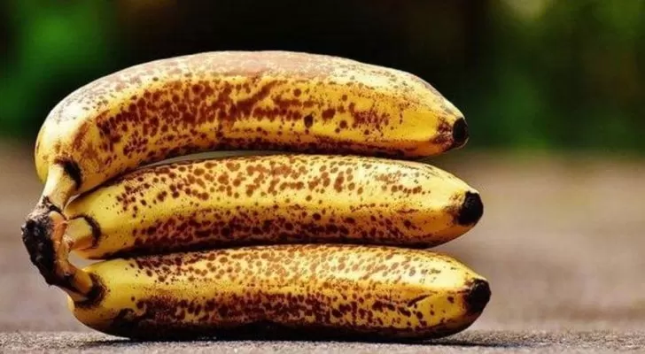 مدار الساعة,أخبار خفيفة ومنوعة